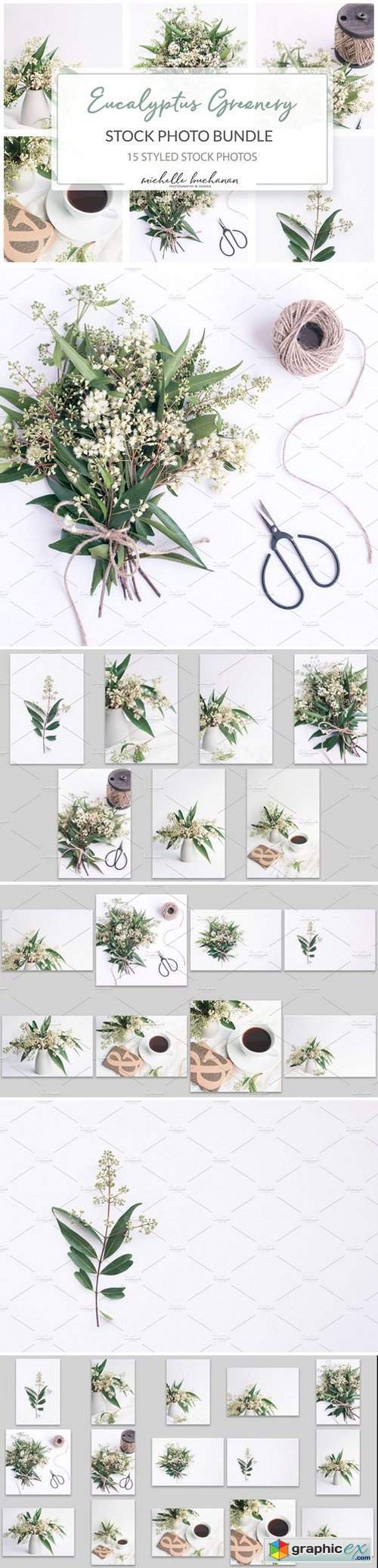 Eucalyptus Greenery Stock Bundle